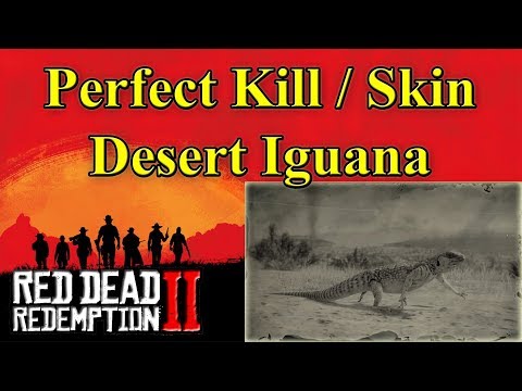 RDR2 Desert Iguana. How to get a Perfect Kill / Skin?