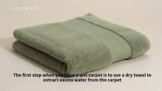 Best wet carpet drying service in Brisbane