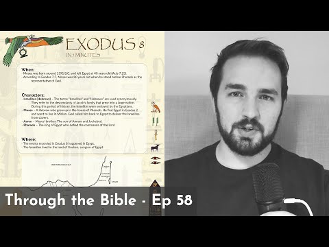 Exodus 8 Summary: A Concise Overview in 5 Minutes