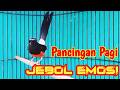 PANCINGAN MURAI BATU GACOR FULL ISIAN PANJANG SEKALI DENGAR MURAI APAPUN LANGSUNG EMOSI