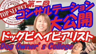 【コンサルテーションの様子大公開】ビヘイビアリストのコンサルテーションをお見せします。甘噛み　吠え　咬みつき解決にはドッグビヘイビアリズムが欧米基準！間違ったトレーニングの前に一度見てみてね。