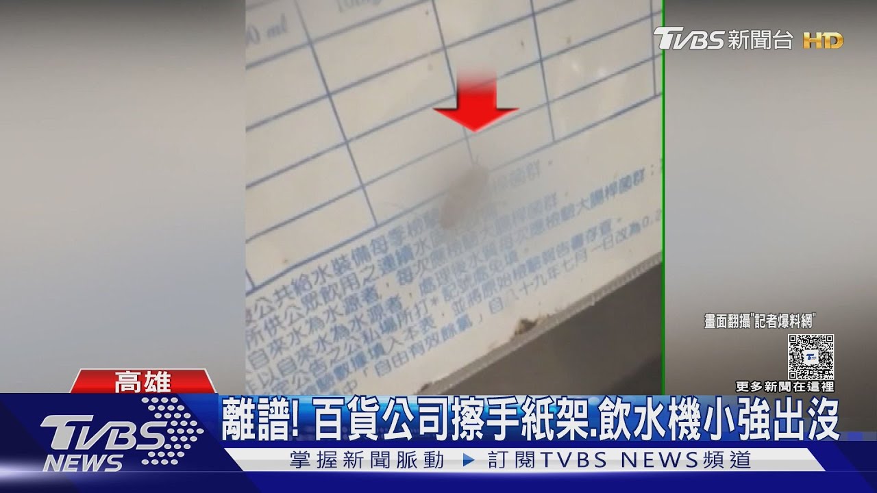 離譜!大型購物中心廁所、飲水機 遊客目擊小強接連出沒
