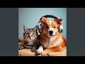 Harmonious Pet Patterns