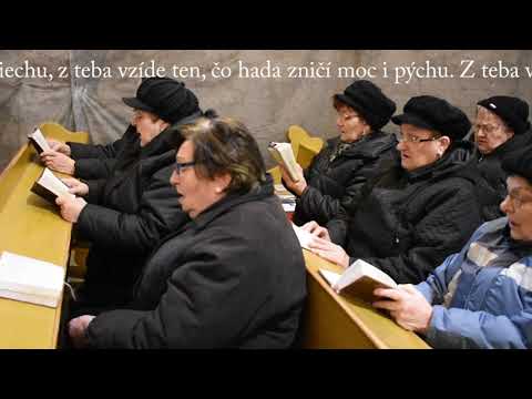 JKS 502 - Pozdravená buď úctivo (k sv. Rodine)