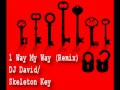 1 way my way Remix - DJ David/Skeleton Key