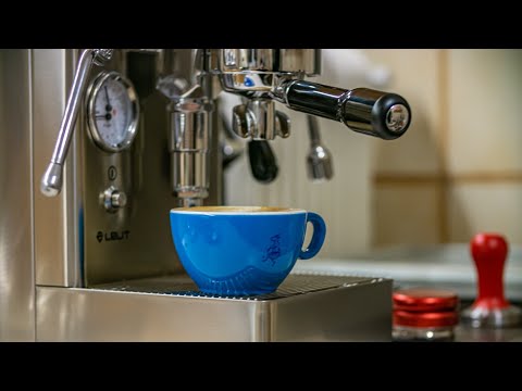 Lelit Mara X Back to back Cappuccinos.