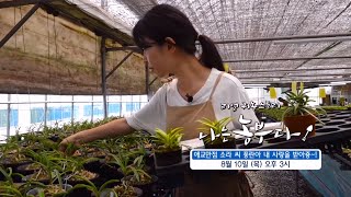 [나는농부다 261회 예고] 애교만점 소라 씨 풍란아 내 사랑을 받아죵~!