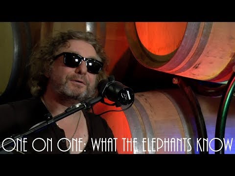 Cellar Sessions: James Maddock - What The Elephants Know September 26th, 2017 City Winery New York