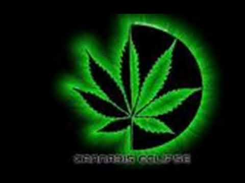 danger g mariana e pat fajin