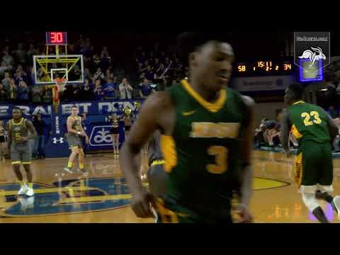 Rabbit Relive (01.29.2019)