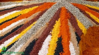 How Turmeric Curcumin Affects Prediabetics