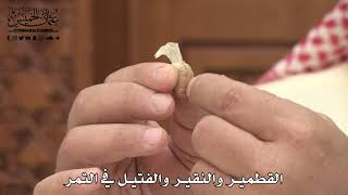 589 - القطمير والنقير والفتيل في التمر - عثمان الخميس