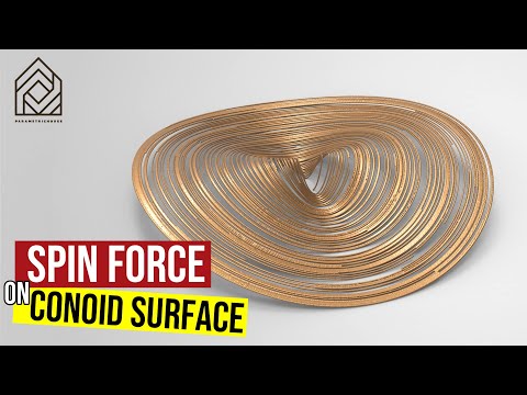 Spin Force On Conoid Surface