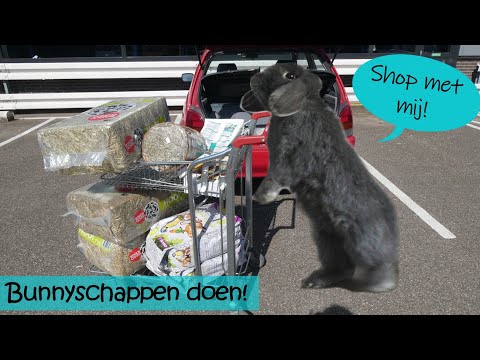 , title : 'BUNNYSCHAPPEN DOEN voor je KONIJN | Shoplog konijnen, dierenwinkel en leuke spulletjes'