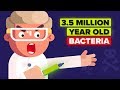 Why Would a Scientist Inject Himself with 3.5 Million Year Old Bacteria?