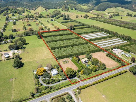 311 Te Matai Road, Te Puke, Western Bay of Plenty, Bay of Plenty, 2 bedrooms, 1浴, Horticulture