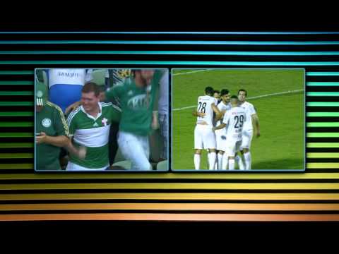 Torcida do Palmeiras comemora após gol do Santos - Brasileirão 2014