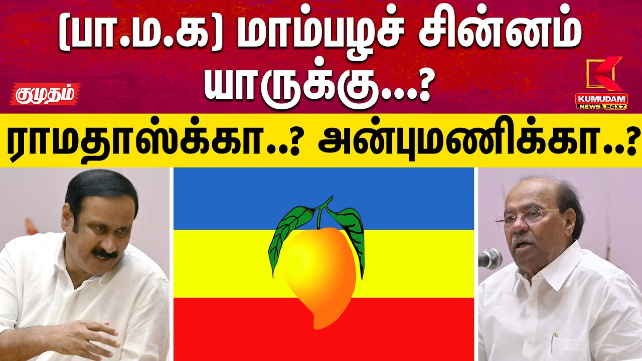 மாம்பழச் சின்னம்யாருக்கு? ராமதாஸ்க்கா? அன்புமணிக்கா? | PMK | Anbumani | Ramadoss | Election2026 |TVK