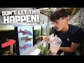 Quarantine Fish Before Adding To Aquarium