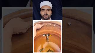 Download lagu Witness the Wonder of Allah: See How This Fish Hunts Its Prey ☝️ mp3