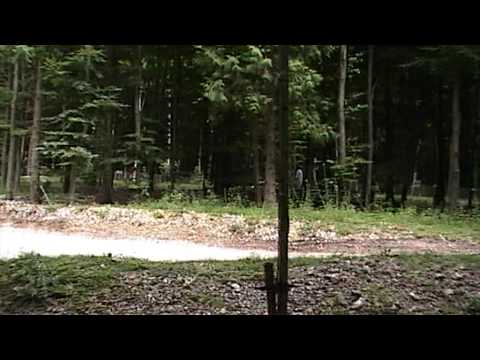 Skoda Fabia WRC, Goodwood Festival of Speed 2008