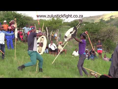 Stick Fight - Zulu Traditional Wedding at Mkomazi (Nhlazuko) - 31/10/2021 - 1st half Version