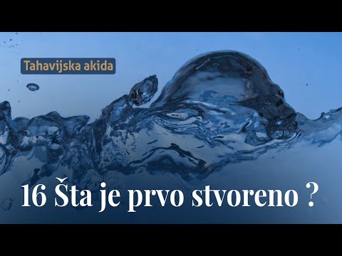 Šta je prvo stvoreno ? - dr. Zijad Ljakić