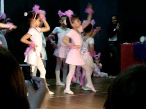 Julia dançando - A história de uma gata (saltimbancos)