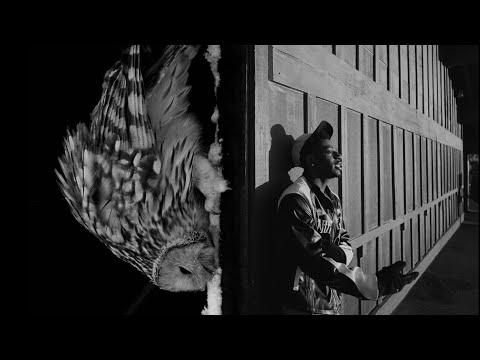 Lul DreDay and Babyface Visuals