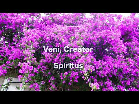 Opwekking 319 Veni Creator Spiritus 1B