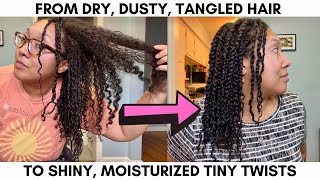 MOISTURIZED TINY TWISTS ON DRY, TANGLED, HAIR - 8 HOURS LATER š®āšØ