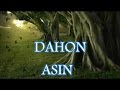 Dahon- Asin
