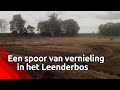 Boswachter Erik Schram over de vernielingen in het Leenderbos.