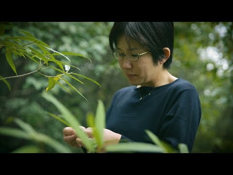 京大先生シアター「花の多様性の謎にせまる - 花粉を運ばせる植物と蜜を探す動物の駆け引き - 」