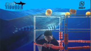 DIA 2 Expo Tiburon200