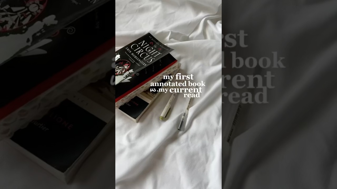 in a river of stardust and angels - a 2024 rewind