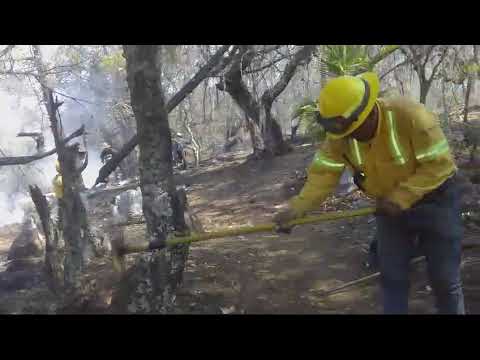 Controlan incendio forestal en San Juan Tamazola y Yutanduchi de Guerrero
