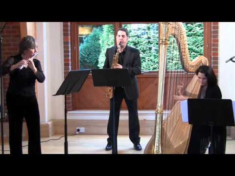 Caliente Trio - Big by Andy Scott, Clare Southworth flute, Andy Scott sax, Lauren Scott harp