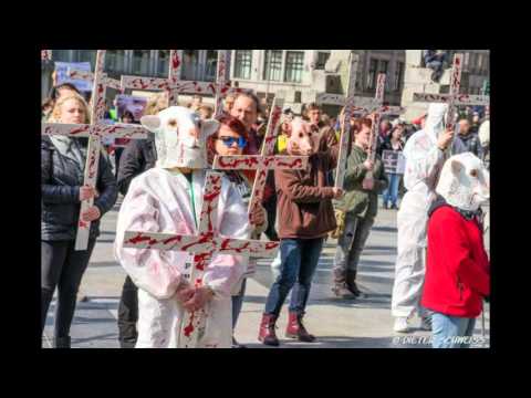 Osterdemo für Tierrechte 2016 - Kölner Dom