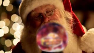 Bugs on your Christmas tree?