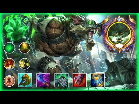 WARWICK MONTAGE 2025 - BEST PLAYS