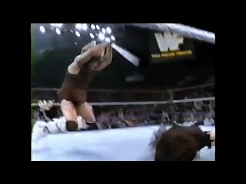 The Undertaker vs. Berzerker (WWF 1992)