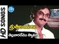 Telavaarademo Swami Video Song Sruthilayalu Songs Rajasekhar Sumalata Naresh