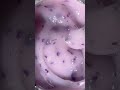SAGA гель для ногтей цветочный professional Liquid Floral gel 04, 15 мл