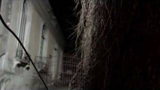 Fiesta Beware - The March of The Pigs (2011)