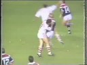 Winfield Cup Highlights 1994