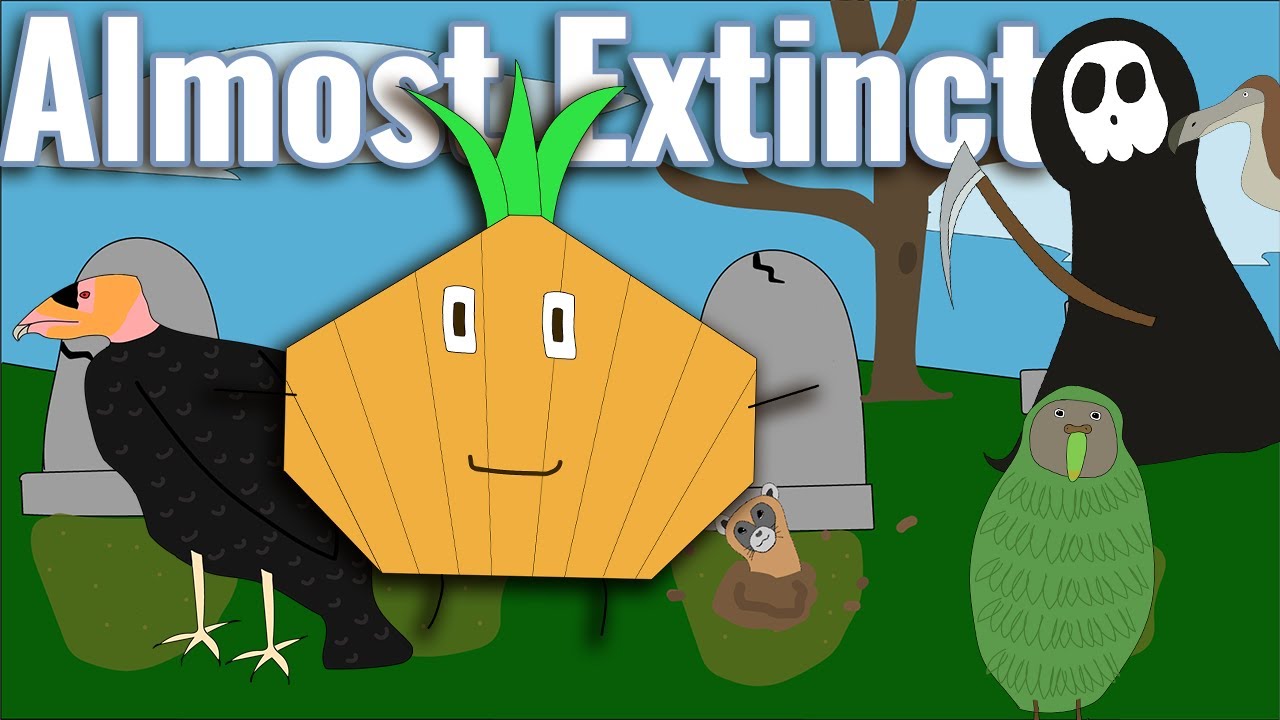 Animals that Barely Avoided Extinction