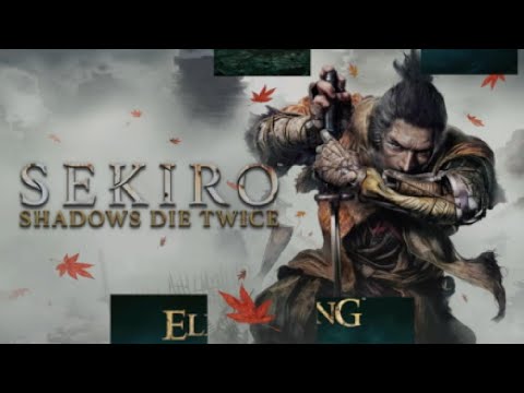 The Soulsborne experience Pt 20