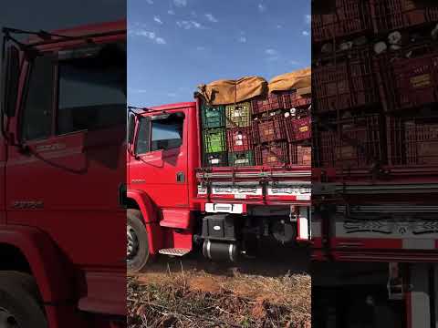 Olha o caminhão de verdura município de Sebastião Laranjeiras Bahia compartilha se inscreva👍🏻🙏