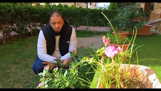 صورة اوعى تيأس | الحلقة ( 02 ) | #دقيقة_أمل | د . حازم شومان